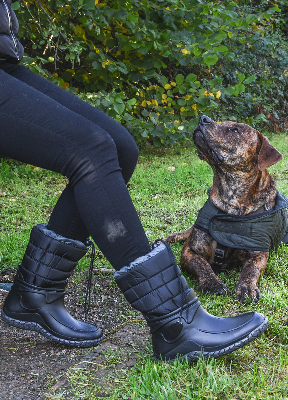 Mud Dogs – Mud Dogs Boots