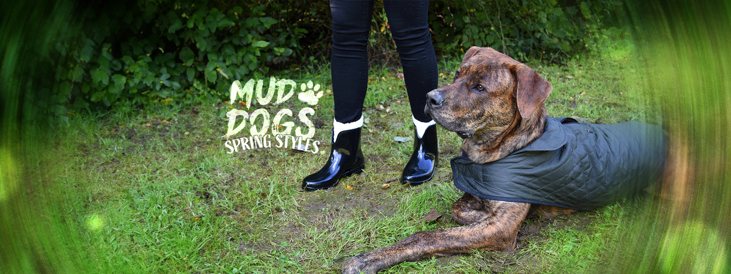Mud Dogs – Mud Dogs Boots