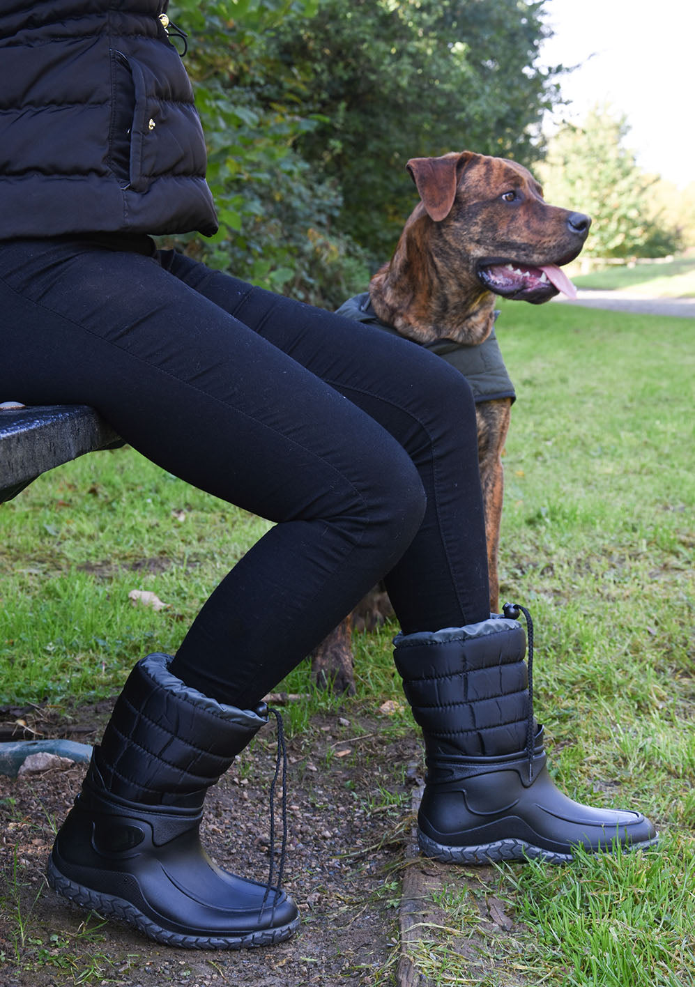 Lined Wellies Dog Winter Boots